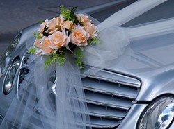 Limousine per matrimoni